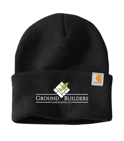 Carhartt Watch Cap 2.0